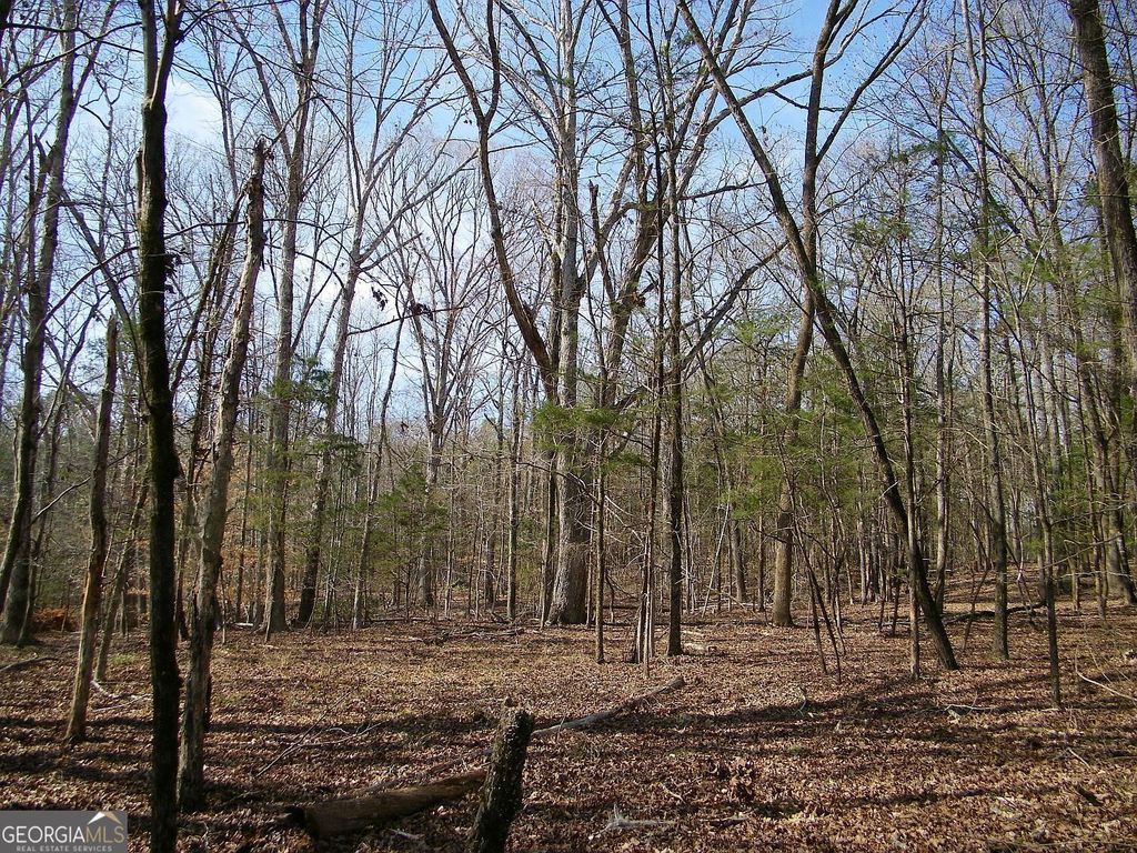 LOT 26 Benjamin Brown Court, Elberton, GA 30635 — photo 2