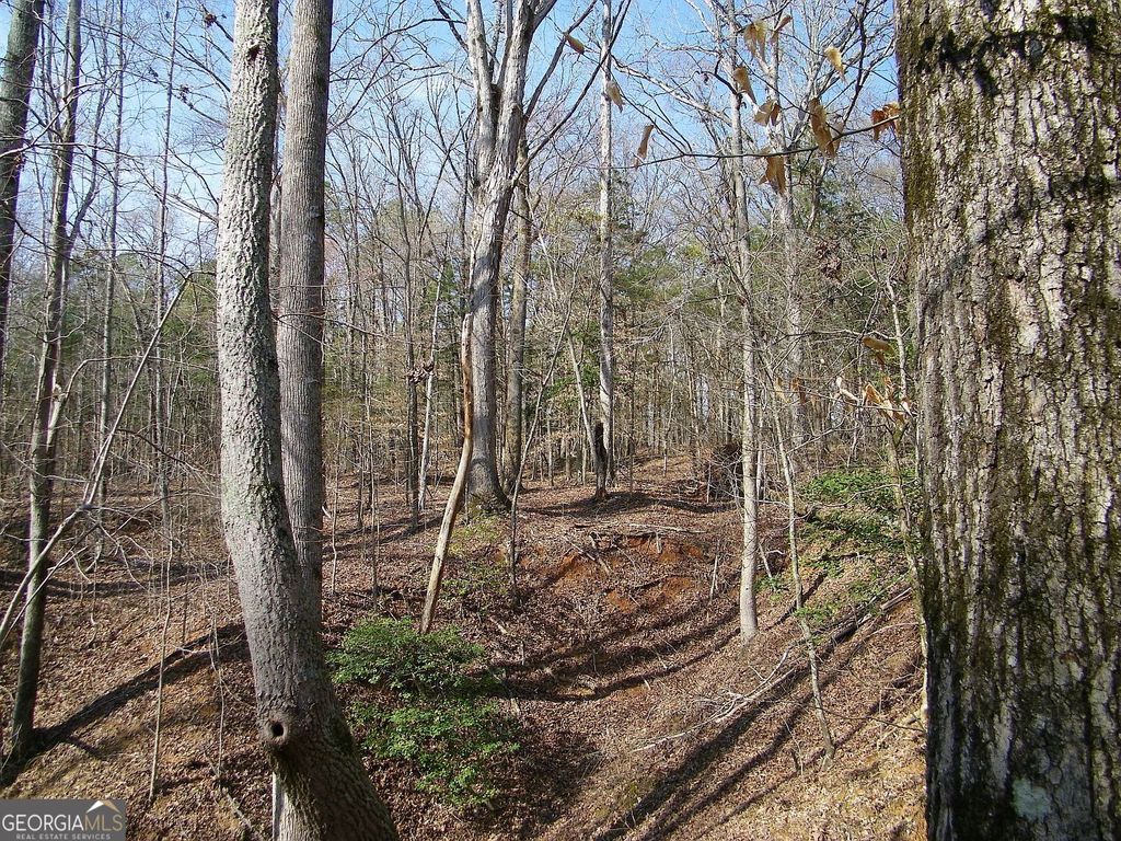 LOT 26 Benjamin Brown Court, Elberton, GA 30635 — photo 3