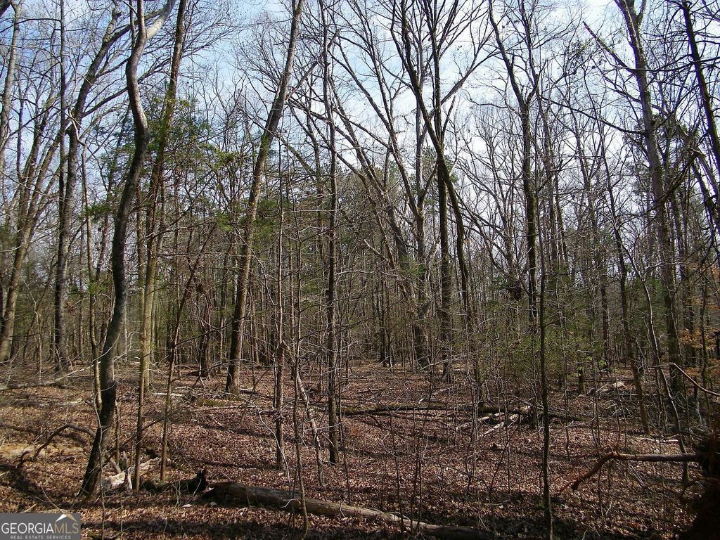 LOT 26 Benjamin Brown Court, Elberton, GA 30635 — photo 4