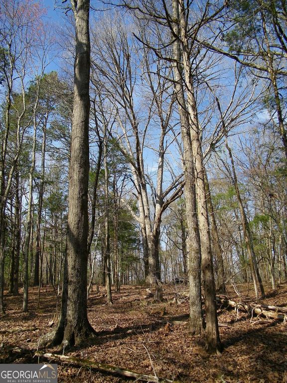 LOT 26 Benjamin Brown Court, Elberton, GA 30635 — photo 5