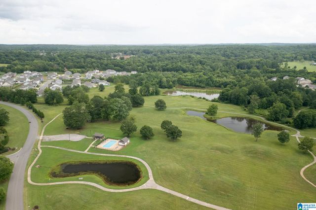 22760 JOSELYN GREEN DRIVE, Mccalla, AL 35111