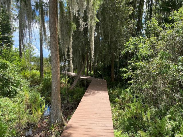 21430 DRAYCOTT WAY, Land O Lakes, FL 34637