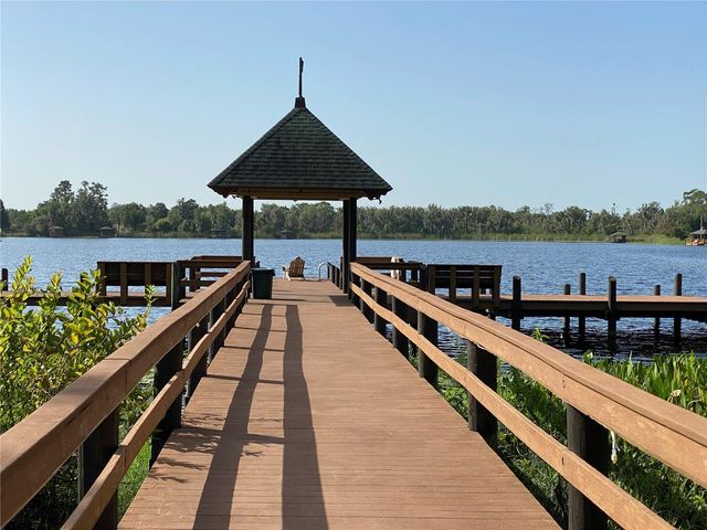 21430 DRAYCOTT WAY, Land O Lakes, FL 34637