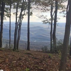 00 Mackerel Mountain Road, Hendersonville, NC 28790
