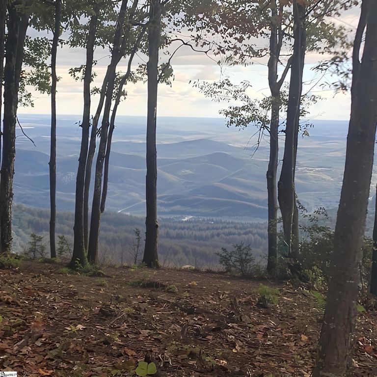 00 Mackerel Mountain Road, Hendersonville, NC 28790