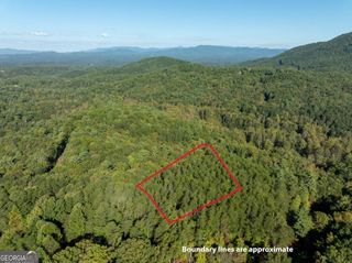 TRACT 1 Turniptown Road, Ellijay, GA 30536