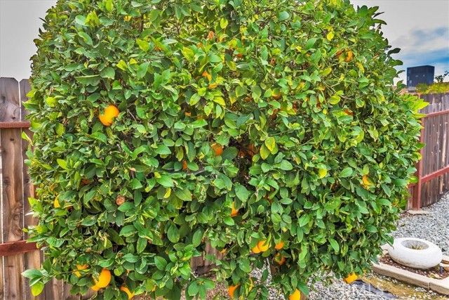 27177 Flagler Street, Menifee, CA 92586