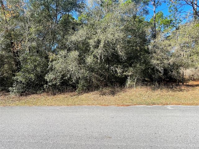 7070 SW 206 AVENUE, Dunnellon, FL 34431