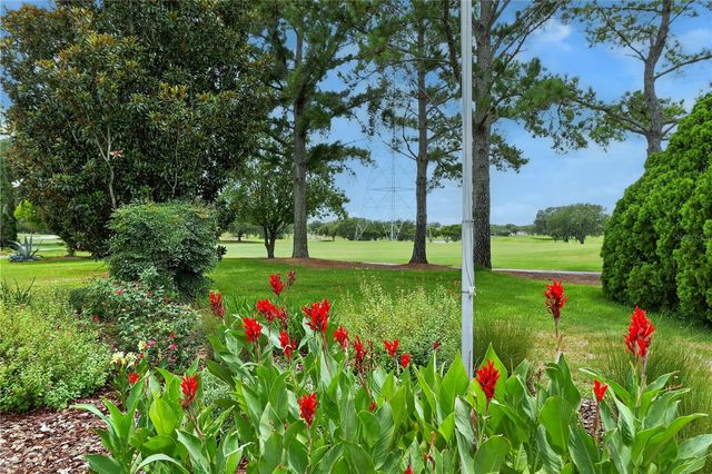 16815 SE 85TH BELKNAP AVENUE, The Villages, FL 32162