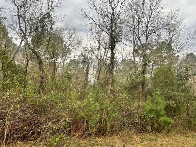 14000 Tx-65, Stowell, TX 77665