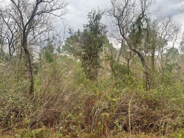 14000 Tx-65, Stowell, TX 77665