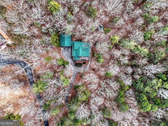 180 Shepherds Ridge Road, Morganton, GA 30560