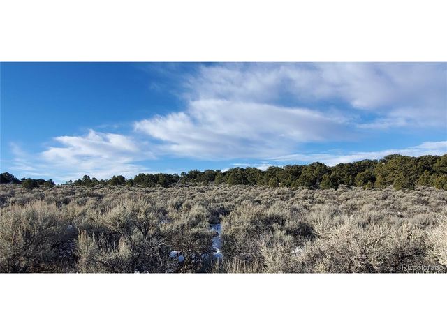 7265 Tiernan Rd, Fort Garland, CO 81133