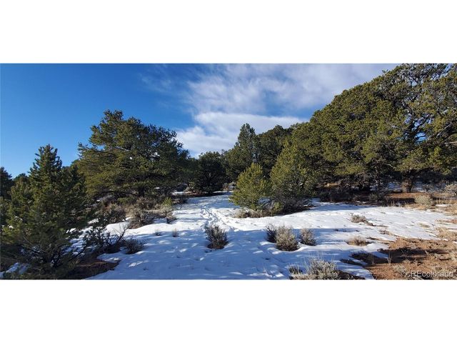 7265 Tiernan Rd, Fort Garland, CO 81133