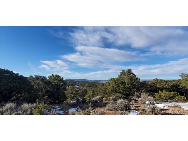 7265 Tiernan Rd, Fort Garland, CO 81133