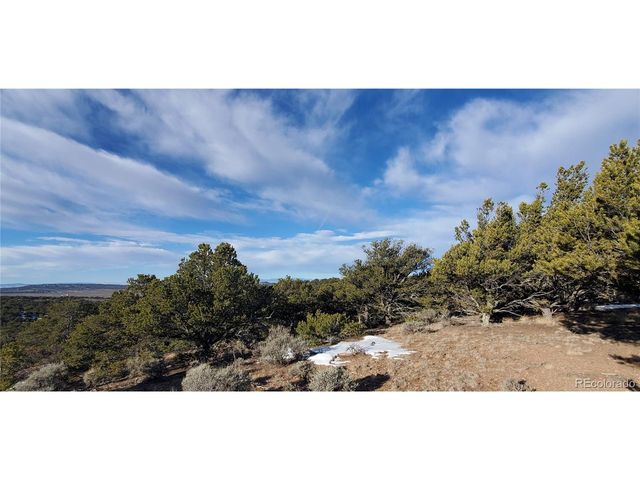 7265 Tiernan Rd, Fort Garland, CO 81133