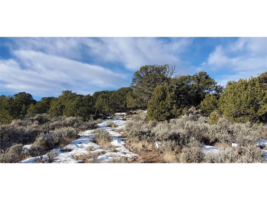 7265 Tiernan Rd, Fort Garland, CO 81133