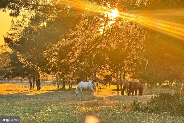 1015 CHERRY HILL RD, Princeton, NJ 08540