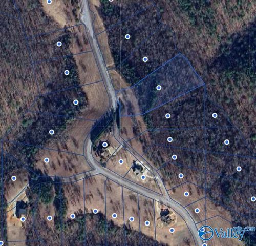 Lot 23 County Road 767, Cedar Bluff, AL 35959