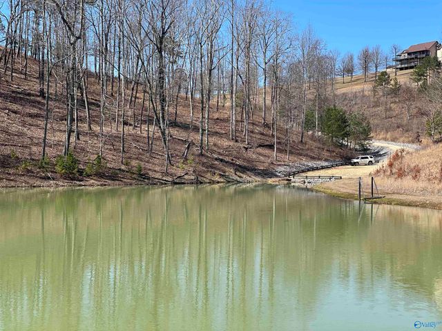 Lot 23 County Road 767, Cedar Bluff, AL 35959