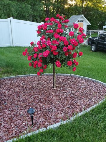 53 Beech Street, Milford, NH 03055