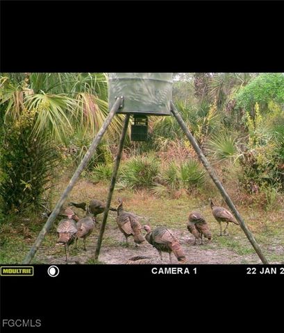 49585 Bermont RD, Punta Gorda, FL 33982