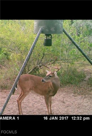 49585 Bermont RD, Punta Gorda, FL 33982