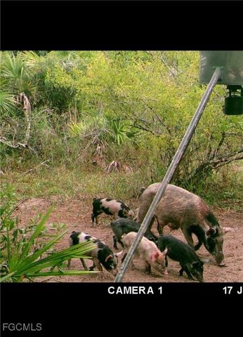 49585 Bermont RD, Punta Gorda, FL 33982