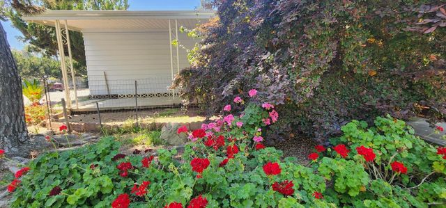 1300 W Olson Avenue SPC 6, Reedley, CA 93654