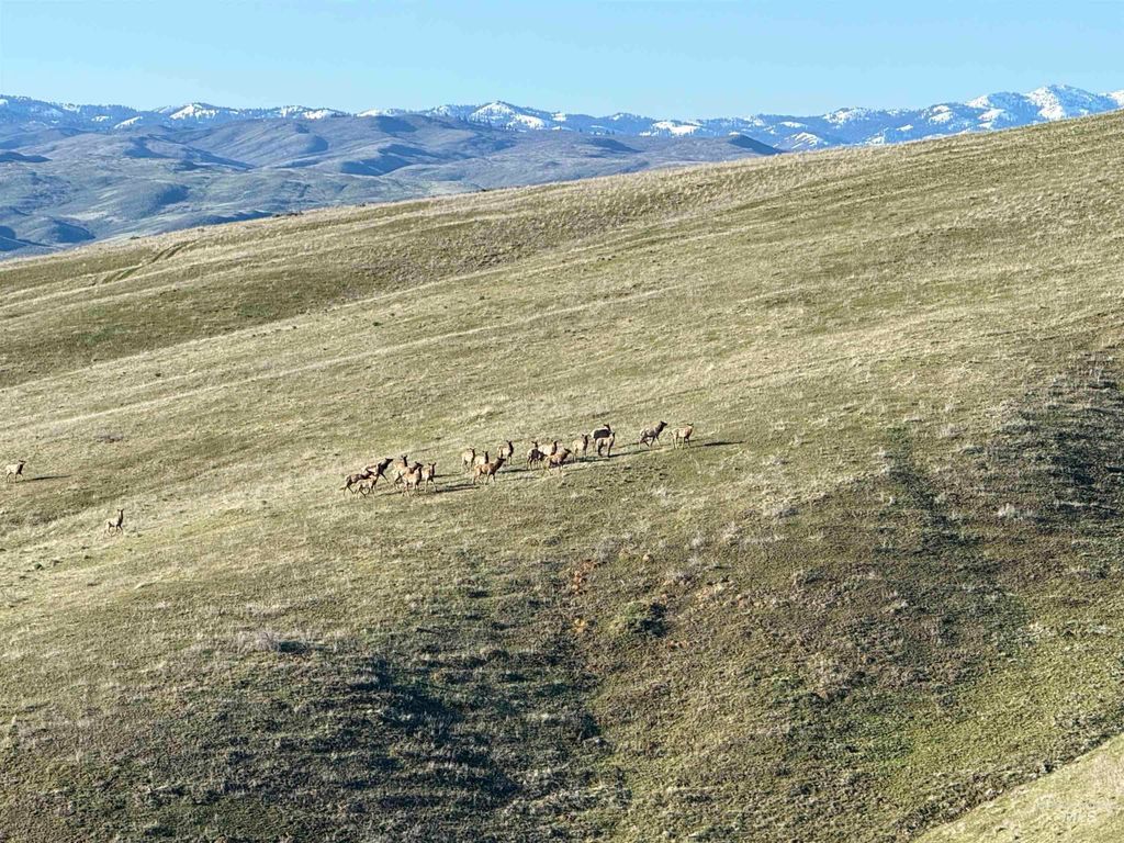 1854 Farnam Ln, Weiser, ID 83672 photo 33