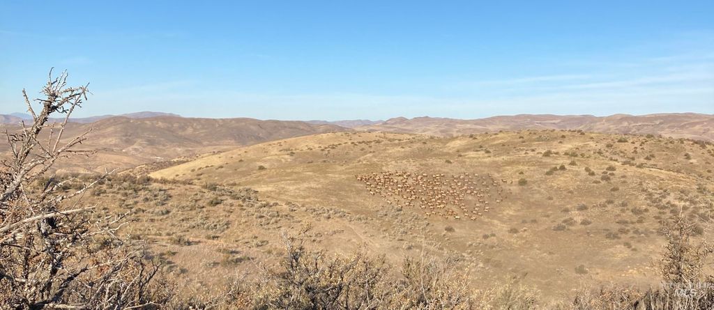 1854 Farnam Ln, Weiser, ID 83672 photo 34