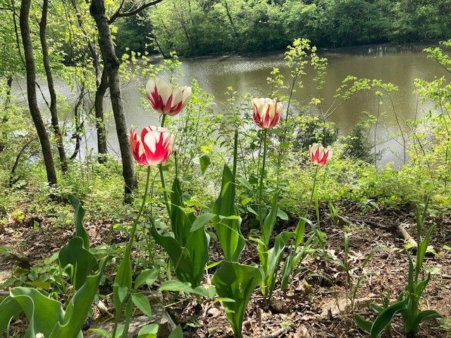 7891 Highway 70, S, Nashville, TN 37221