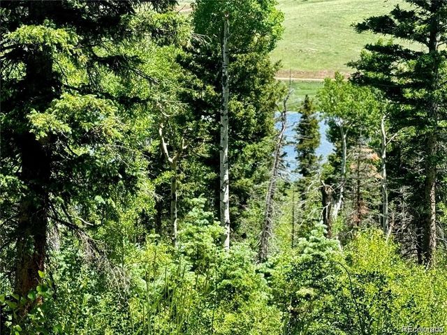 2348 Benton Place, Fort Garland, CO 81133