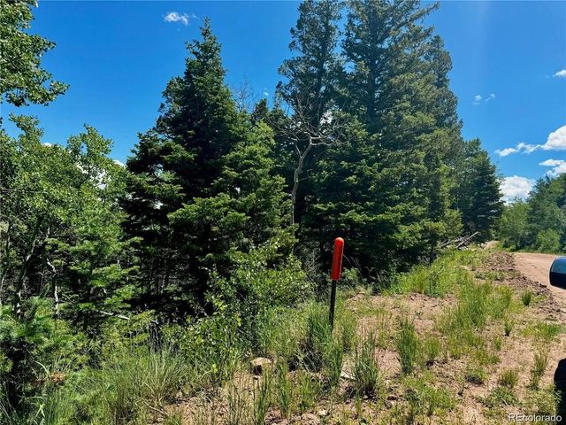 2348 Benton Place, Fort Garland, CO 81133