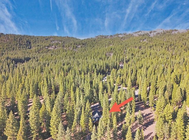 462 Arrowleaf Road, Portola, CA 96122