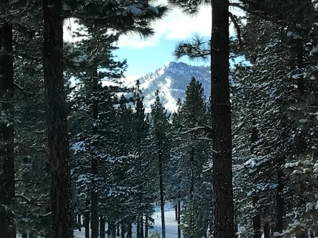 462 Arrowleaf Road, Portola, CA 96122