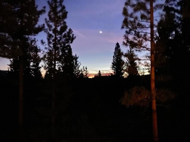 462 Arrowleaf Road, Portola, CA 96122