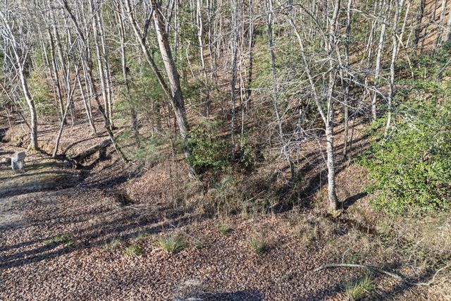 58 Big Pine Trail, Murphy, NC 28096