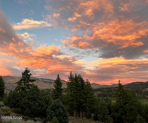 245 Hot Springs Road, Markleeville, CA 96120