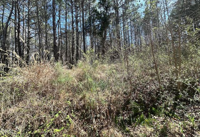 0 Pleasant Hill Church Road, Siler City, NC 27344