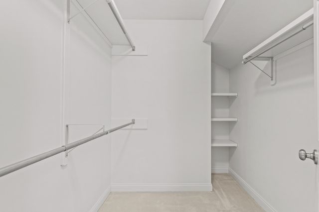 2808 WILD PLUM CT, Columbia, MO 65201