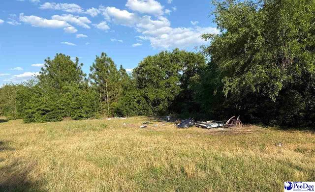 1929 Garden Valley Dr, Hartsville, SC 29550