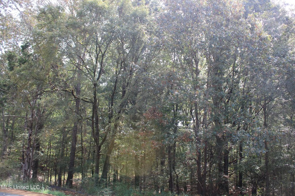 9 Hickory Hollow Road, Hernando, MS 38632 — photo 4