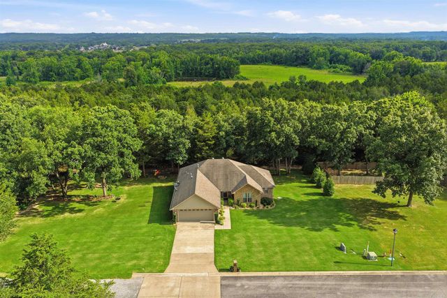 30 Cedar Knolls Loop, Greenbrier, AR 72058