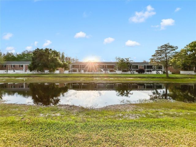 13706 ORANGE SUNSET DRIVE 13706, Tampa, FL 33618