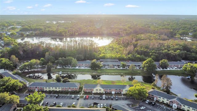 13706 ORANGE SUNSET DRIVE 13706, Tampa, FL 33618