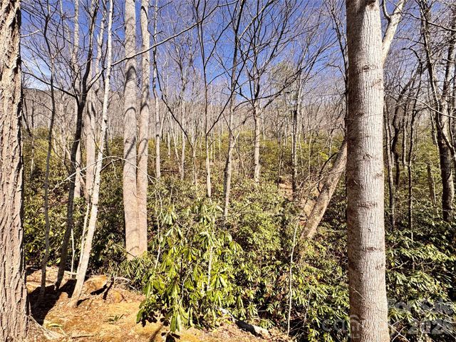 212 Harmony Lane 1142, Montreat, NC 28757