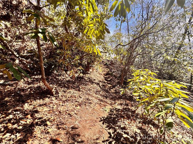 212 Harmony Lane 1142, Montreat, NC 28757