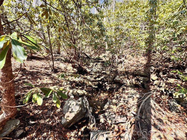 212 Harmony Lane 1142, Montreat, NC 28757