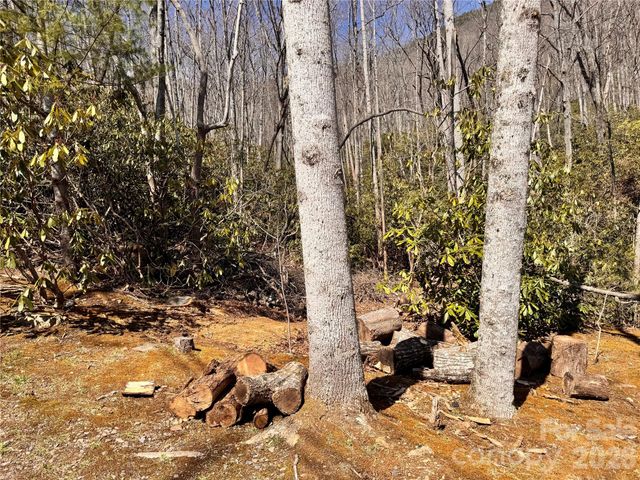 212 Harmony Lane 1142, Montreat, NC 28757